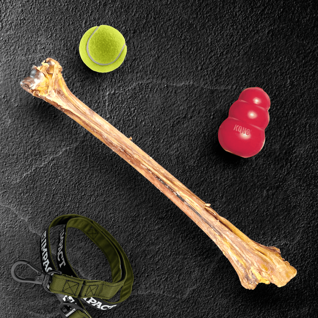 Ostrich Long Bone Dog Chew, Oversized 19 x 3.5 Inch Treat for Medium, Large and Extra-Large Dogs source image 1