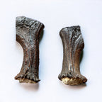 Moose Antler Base Dog Chew for Extreme Power Chewers, Dense Single-Piece Treat in Three Weight-Based Sizes source image 1