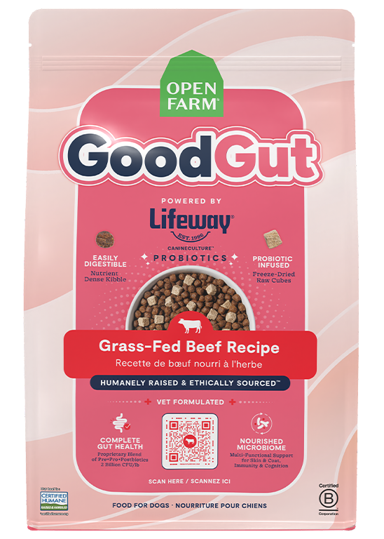 Grass-Fed Beef Dog Kibble with Freeze-Dried Raw Cubes and Probiotics, Complete Recipe for All Life Stages source image 1
