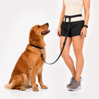 Hands-Free Waist Dog Leash for Walking and Running, Adjustable Length and Quick-Release Hardware source image 1