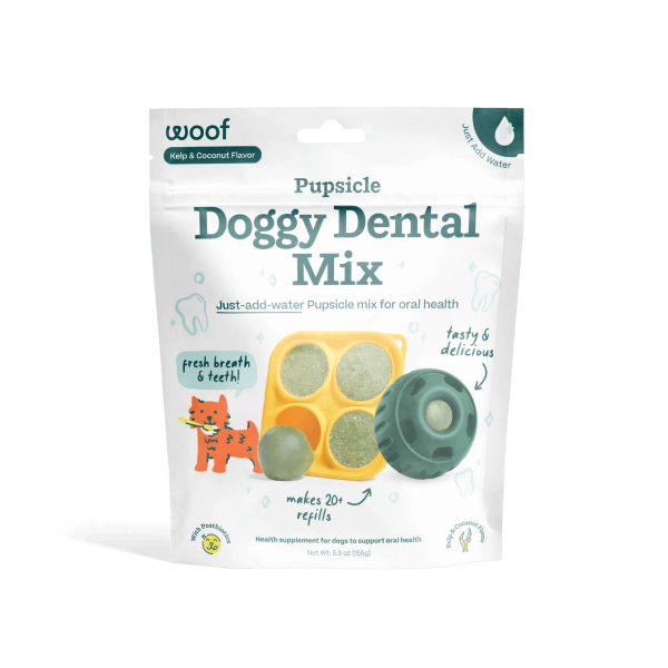 Dental Refill Mix for Dogs Designed for Pupsicle Enrichment Toys and Simple At Home Oral Care product image 1