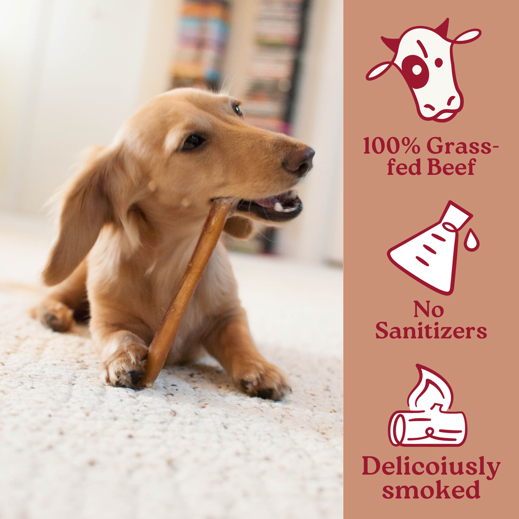 Maplewood Smoked Bully Stick Dog Chews Slow-Smoked for 72 Hours for Long-Lasting Flavorful Chewing product image 1