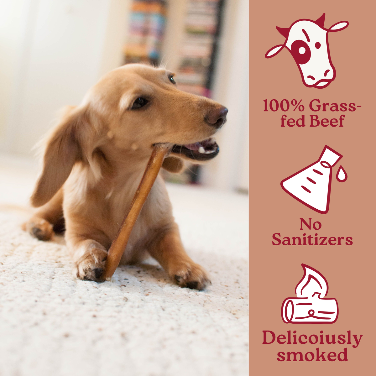 Maplewood Smoked Bully Stick Dog Chews Slow-Smoked for 72 Hours for Long-Lasting Flavorful Chewing product image 1