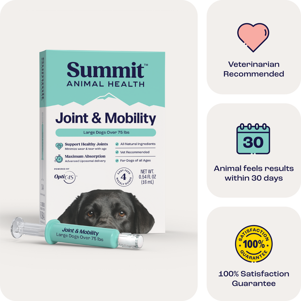 Large Dog Joint Supplement in Weekly Liquid Doses for Dogs Over 75 lb, Offered as Single and Multi-Box Packs source image 1