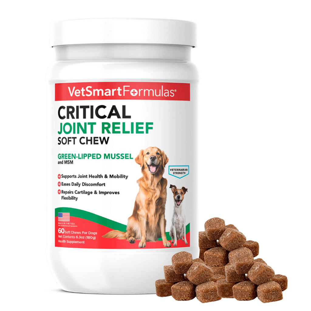 Dog Joint Support Chews for Daily Mobility Care, 90-Day Bottle for Adult Dogs and Active Senior Companions source image 1