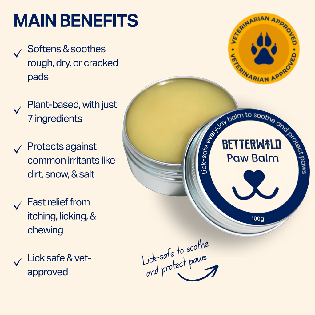 Plant-Based Dog Paw Balm Default Title