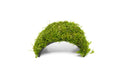 Christmas Moss Coconut Aquarium Bridge Default Title