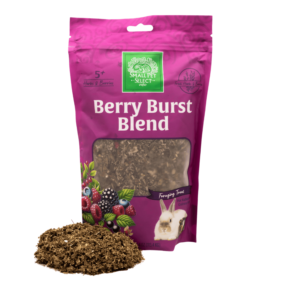 Small Pet Berry Treat Blend product image 1