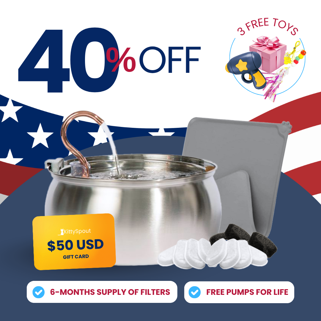 Cat Water Fountain Bundle product image 2