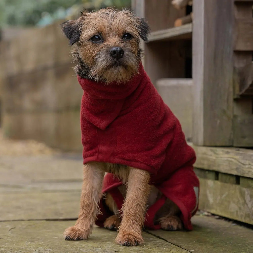 Rosehip Cotton Dog Drying Coat product image 1