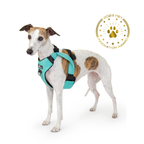 Crash-Tested Dog Car Safety Harness product image 1