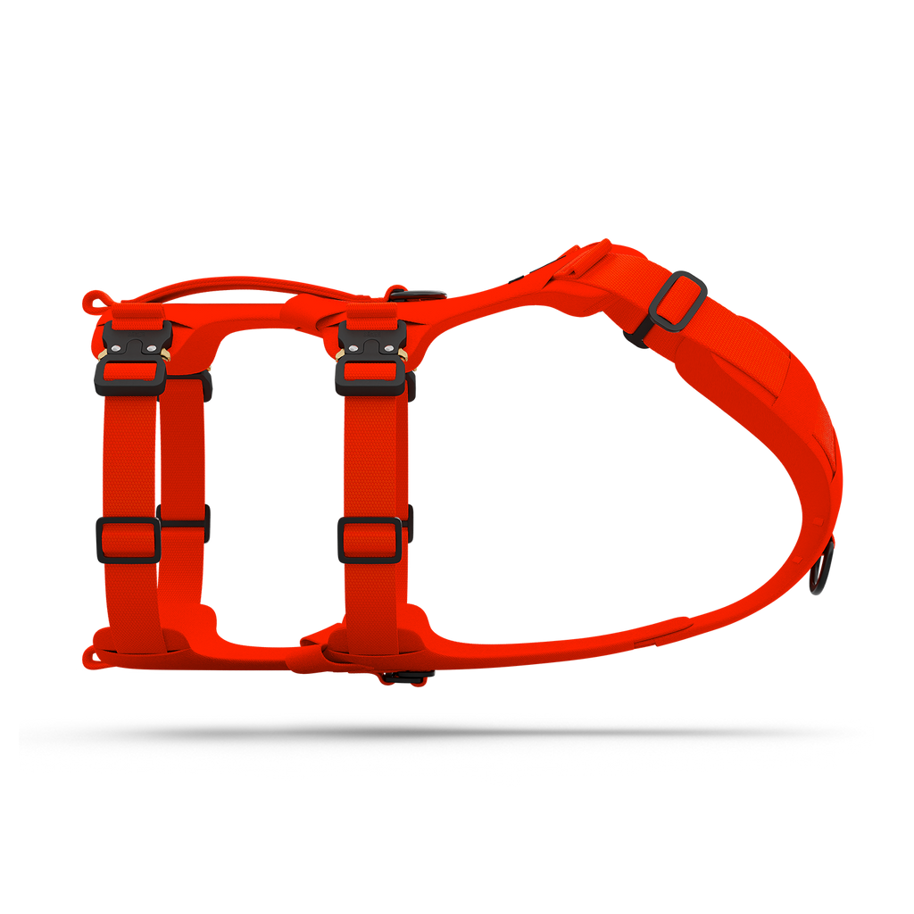 Crash-Tested Dog Travel and Trail Harness XS / Alpine Orange