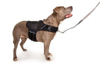 Martingale Dog Harness Jet Black Mesh / XS