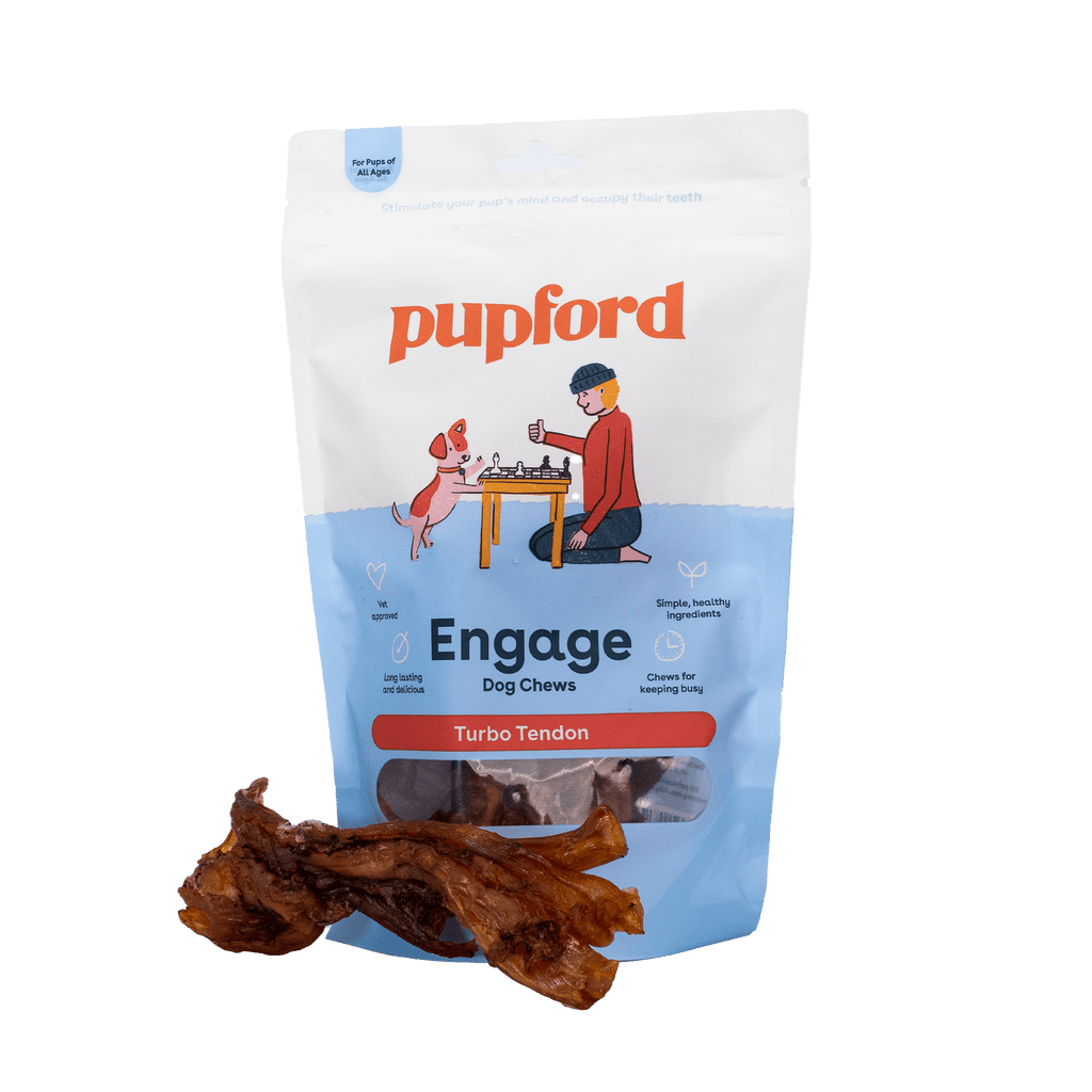 Thick Beef Tendon Dog Chews 3 Pack