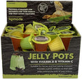 Feeder Insect Fruit Jelly Pots 1 (pot)