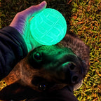 Glow EVA Dog Training Ball product image 1