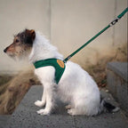 Breathable Step-In Dog Harness product image 1