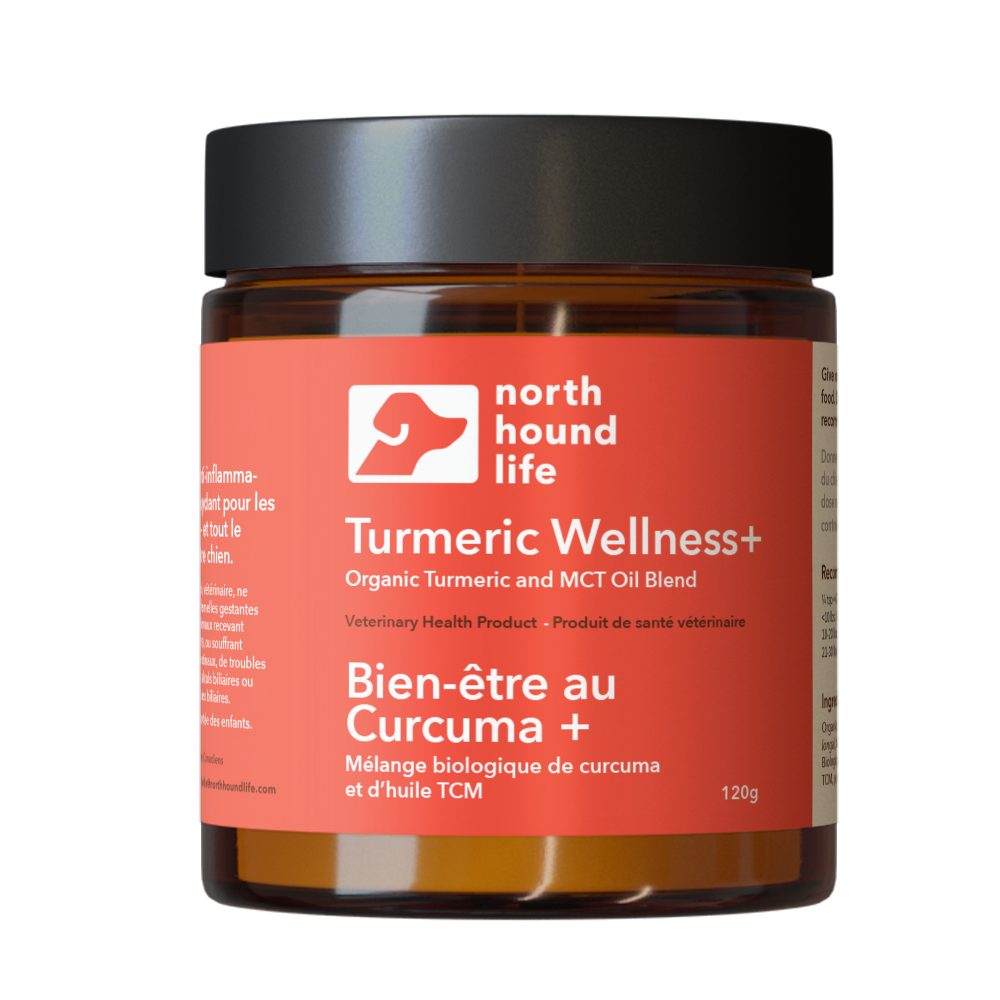 Turmeric Wellness Powder for Dogs product image 1