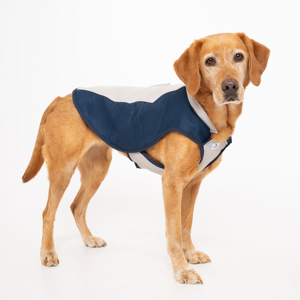 Triple-Layer Evaporative Dog Cooling Coat product image 1