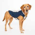 Triple-Layer Evaporative Dog Cooling Coat product image 1