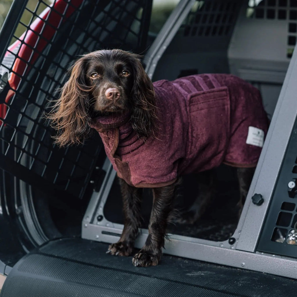 Burgundy Cotton Dog Drying Coat product image 1