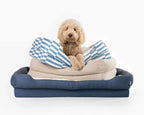 Orthopedic Dog Bed product image 1