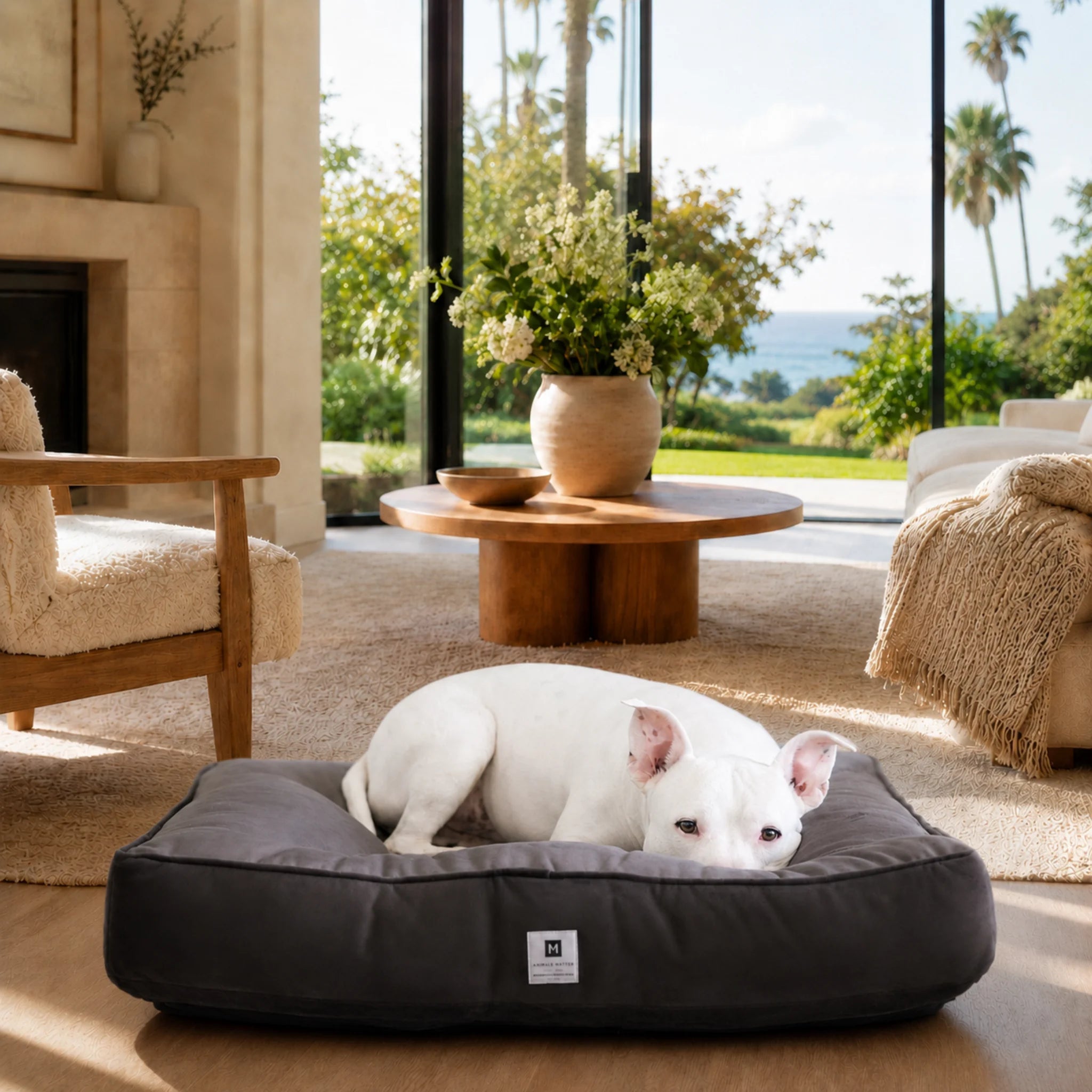 Orthopedic Dog Bed product image 1