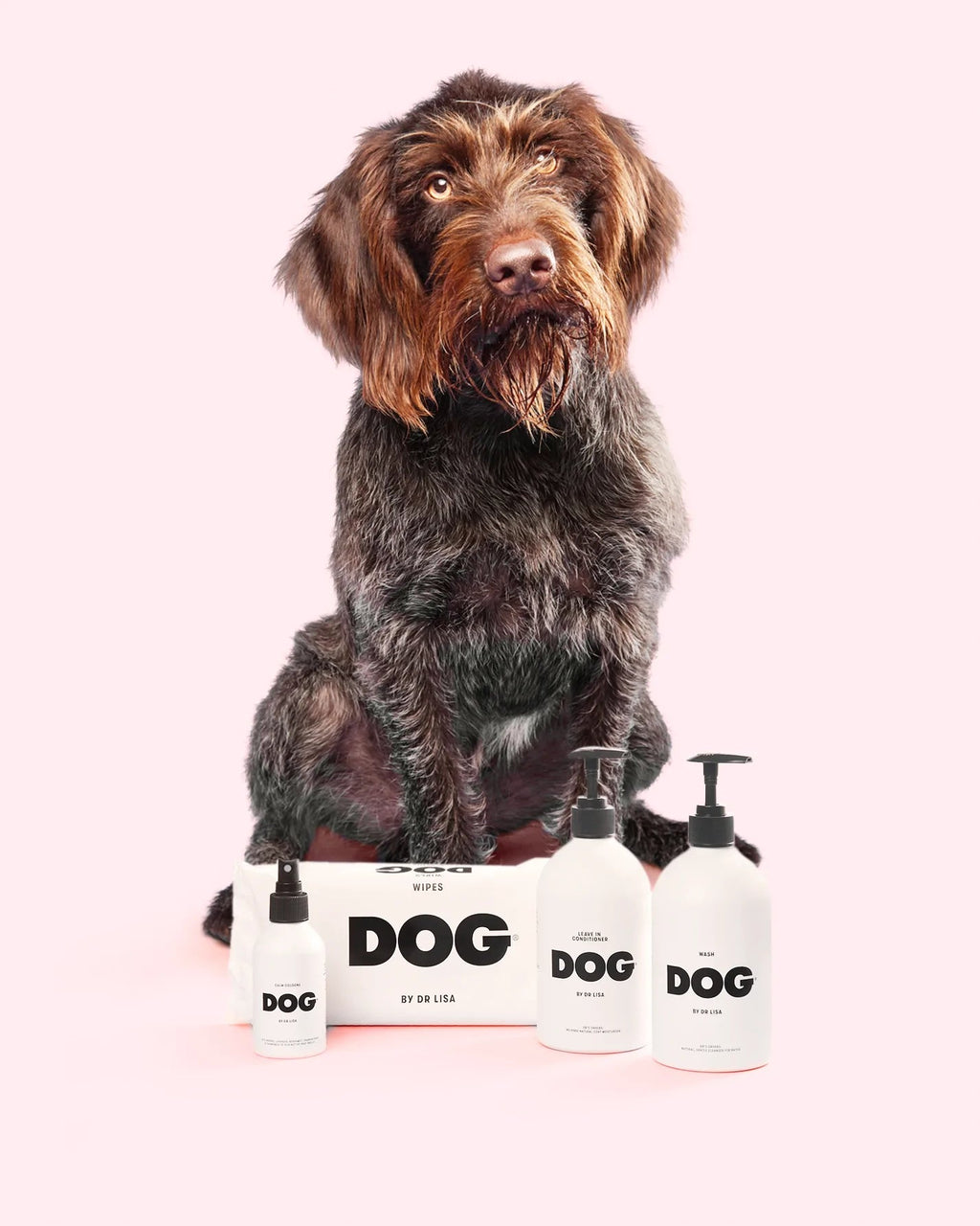 Dog Grooming Set product image 1