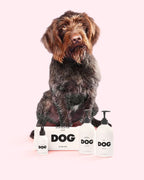Dog Grooming Set product image 1