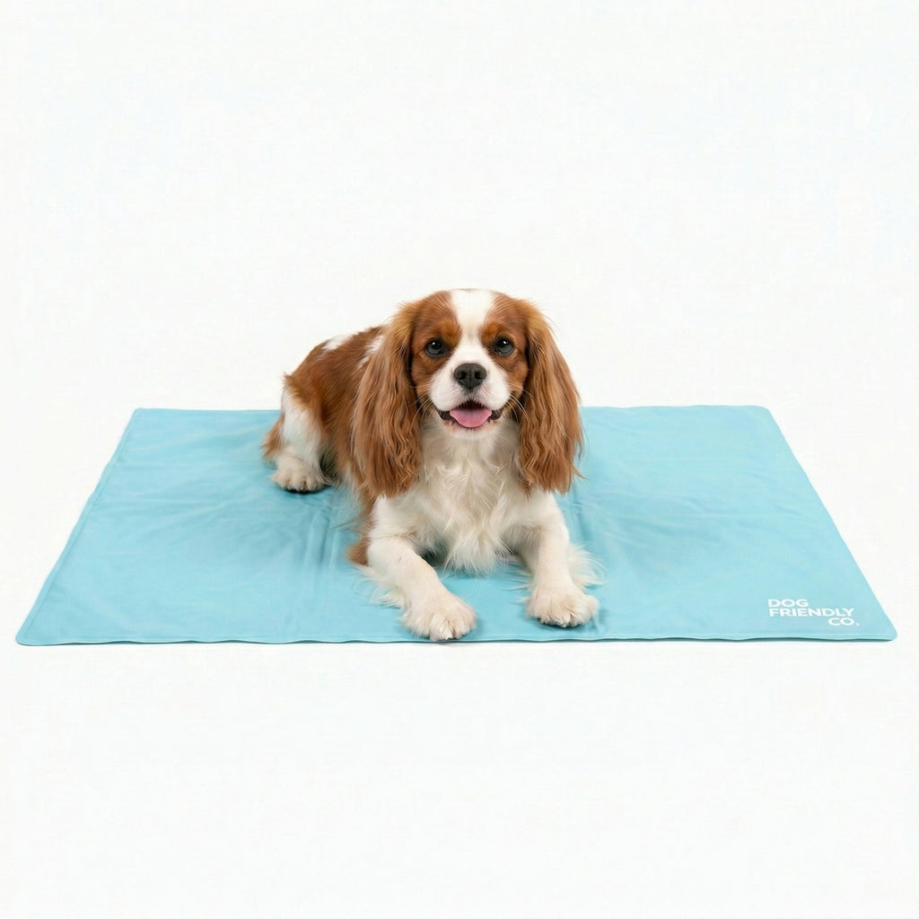 Dog Cooling Mat product image 1