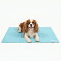 Dog Cooling Mat product image 1
