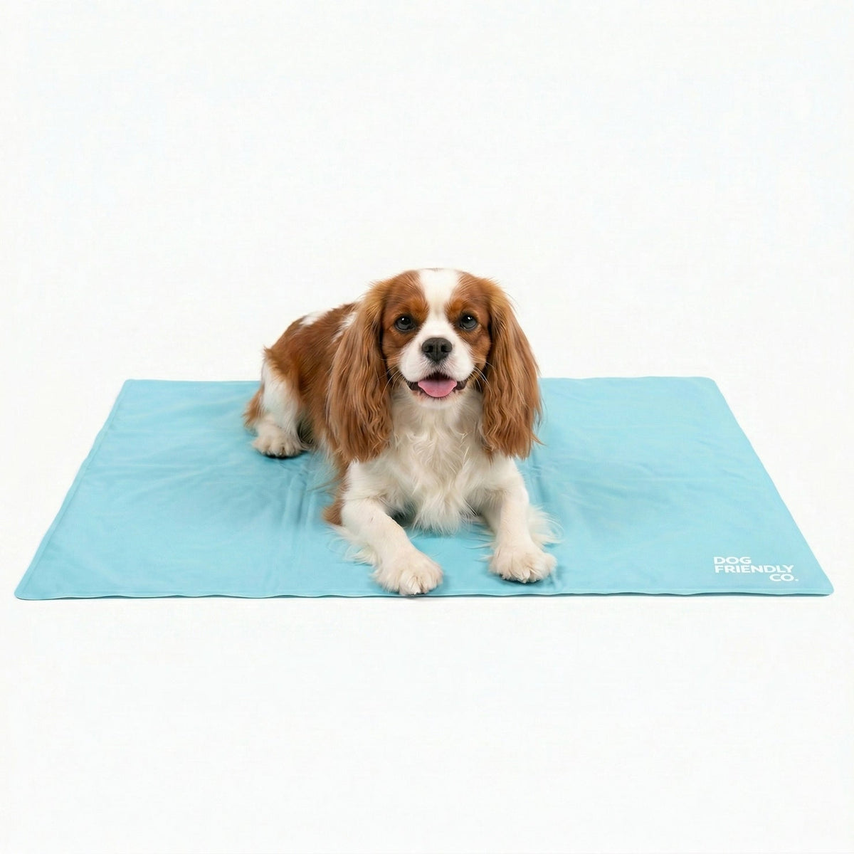 Dog Cooling Mat product image 1