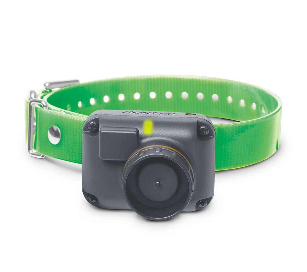 Dog Training Receiver product image 1