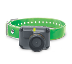 Dog Training Receiver product image 1