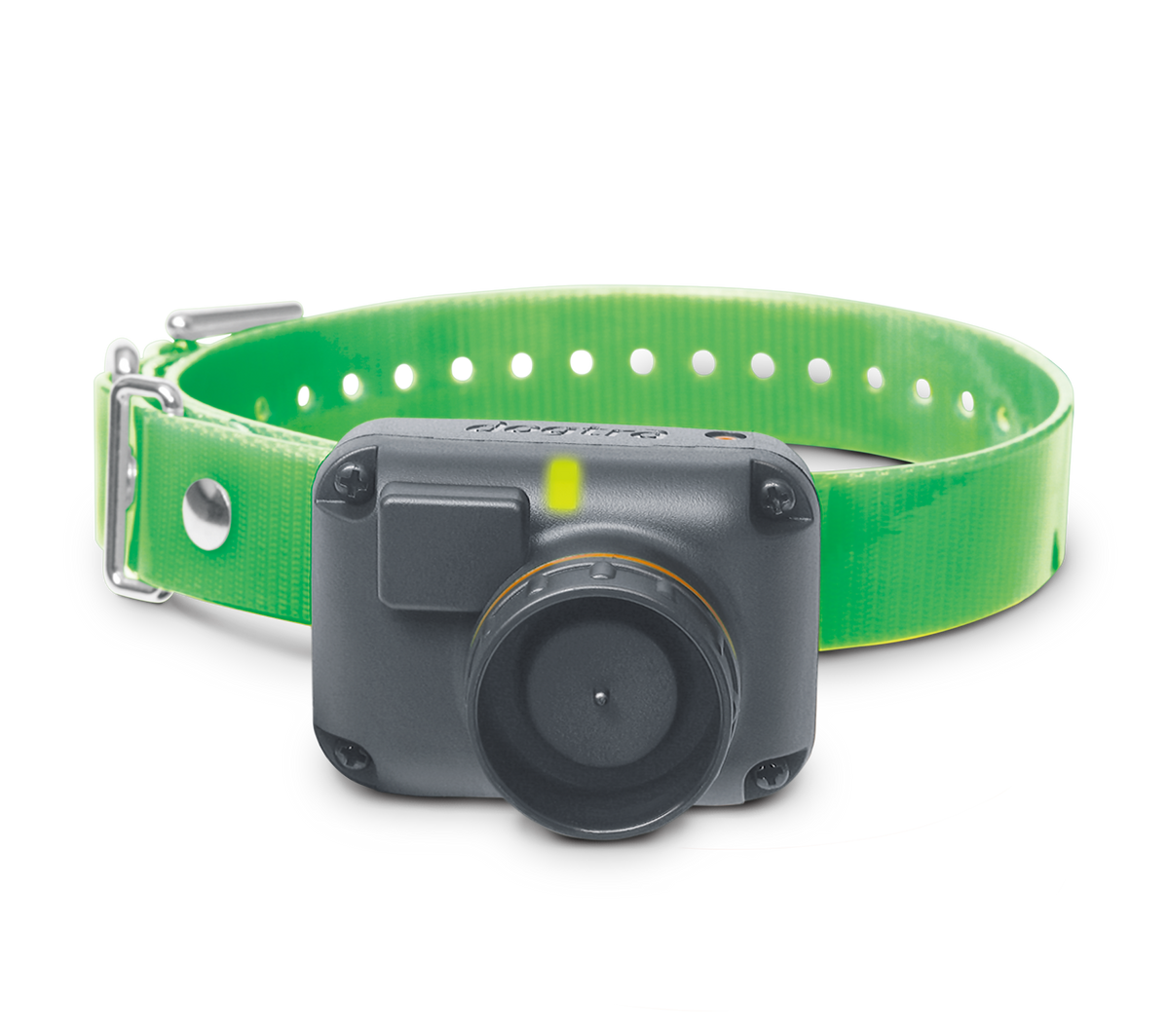 Dog Training Receiver product image 1