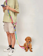 Hands-Free Leash product image 1