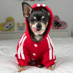 Dog Tracksuit product image 1