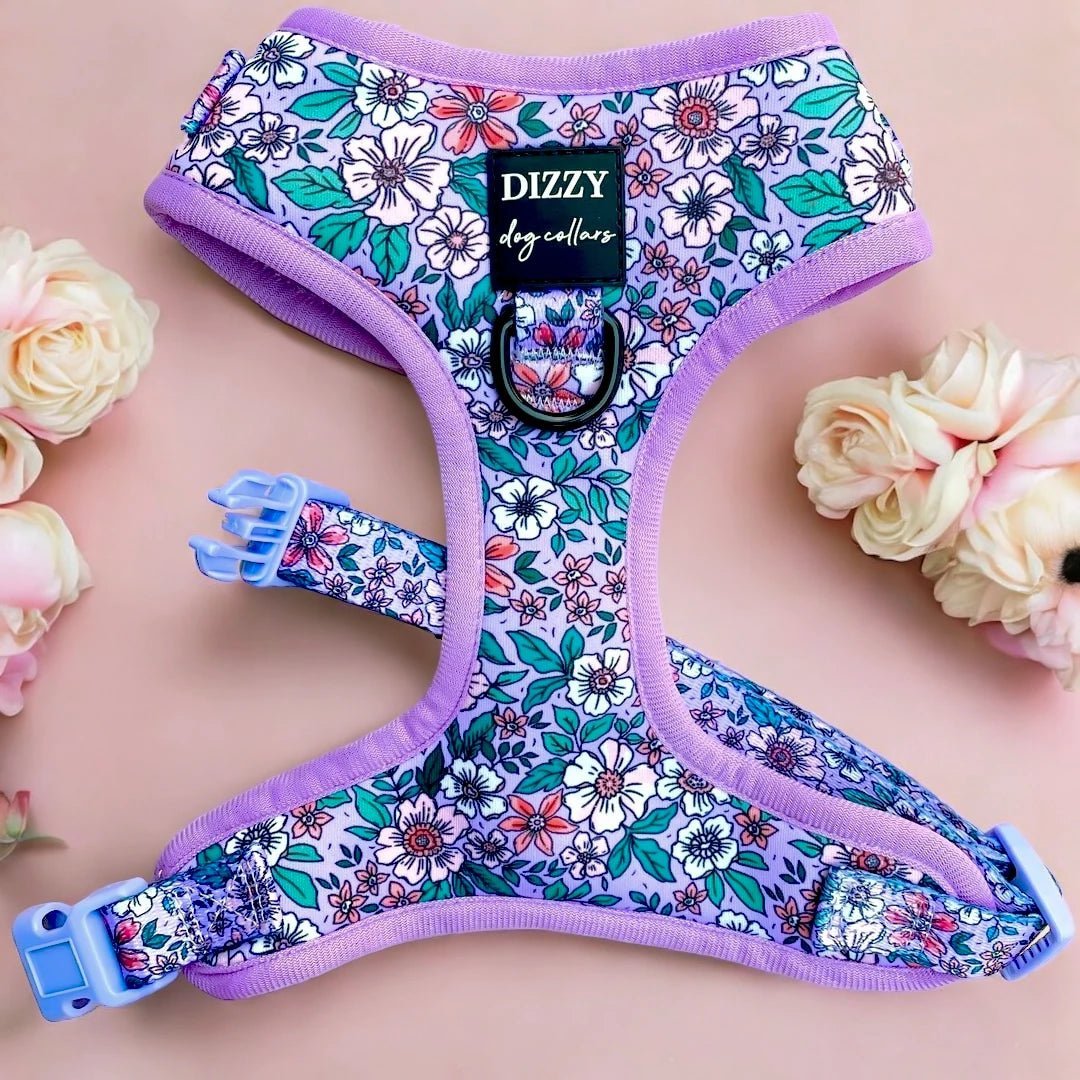 Adjustable Dog Harness product image 1