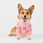 Dog Sweater product image 1