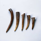 Moose Antler Dog Chew product image 1