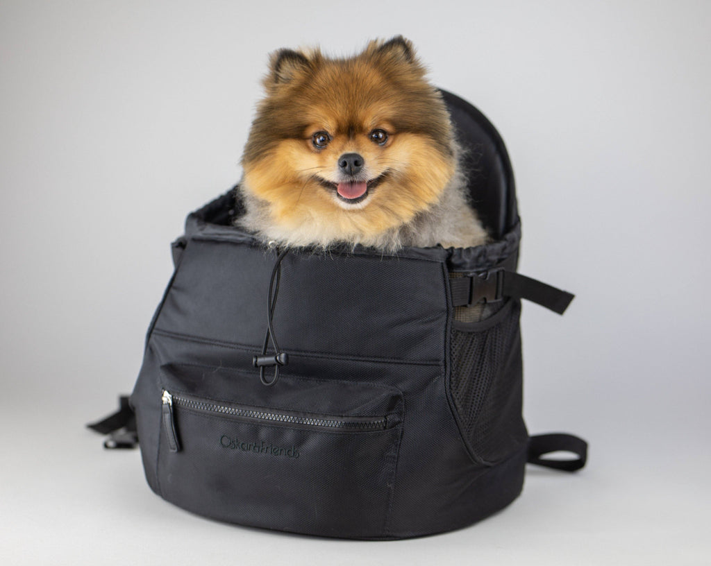 Pet Backpack Carrier product image 1