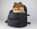 Pet Backpack Carrier product image 1