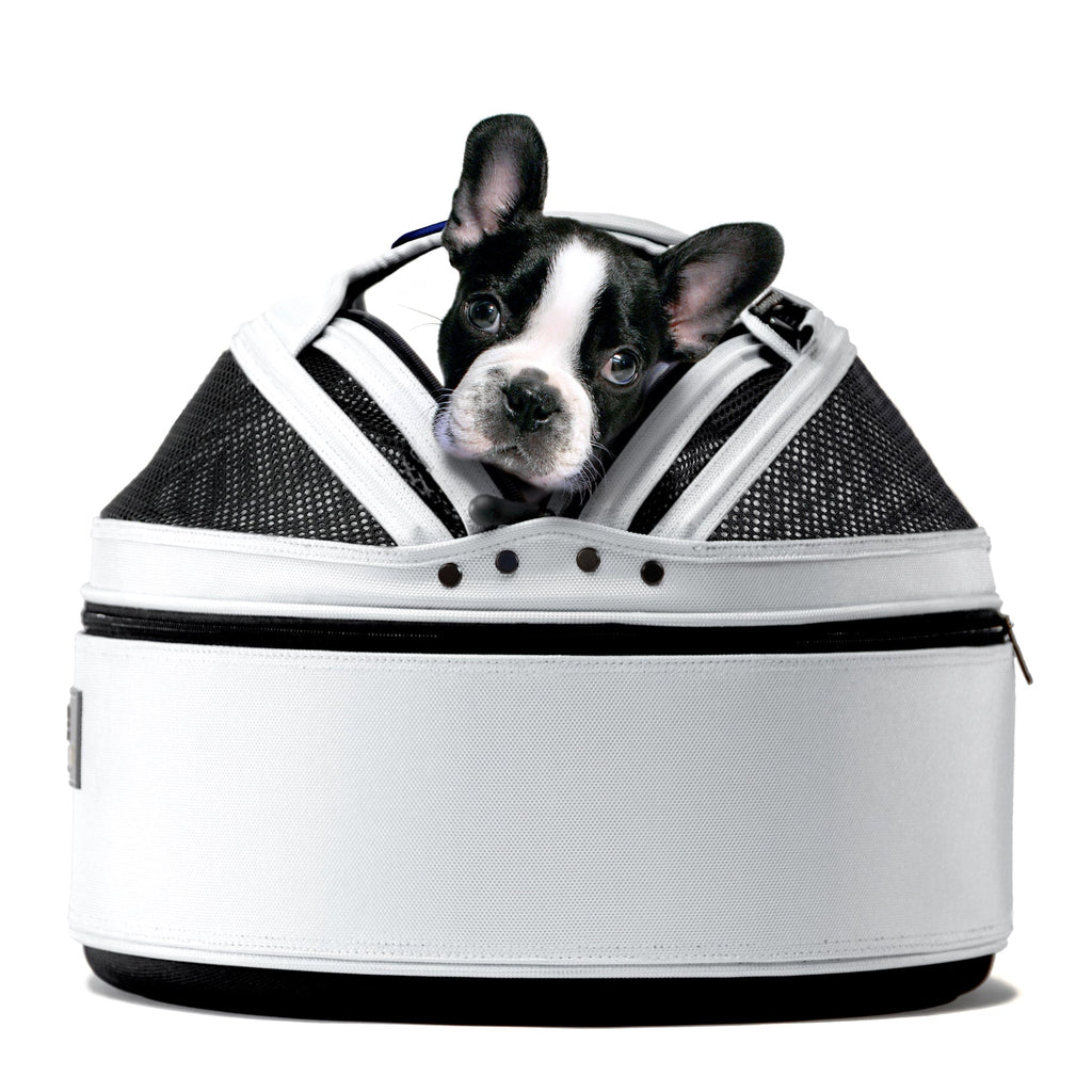 Pet Travel Carrier product image 1