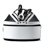 Pet Travel Carrier product image 1