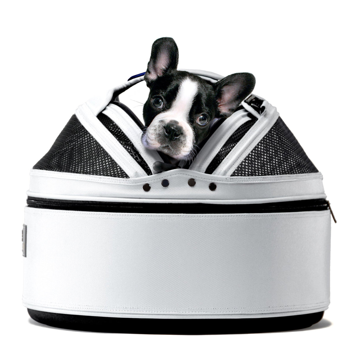 Pet Travel Carrier product image 1