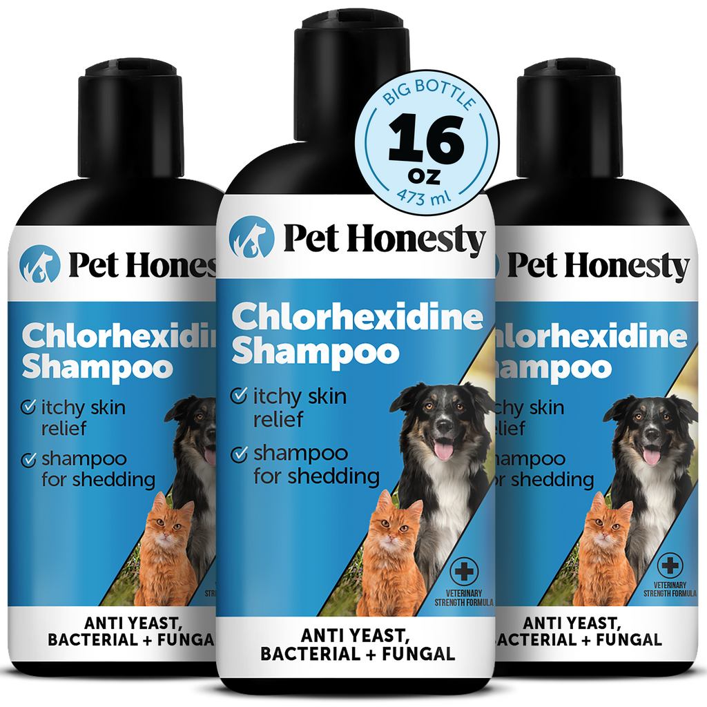 Chlorhexidine Pet Shampoo product image 1
