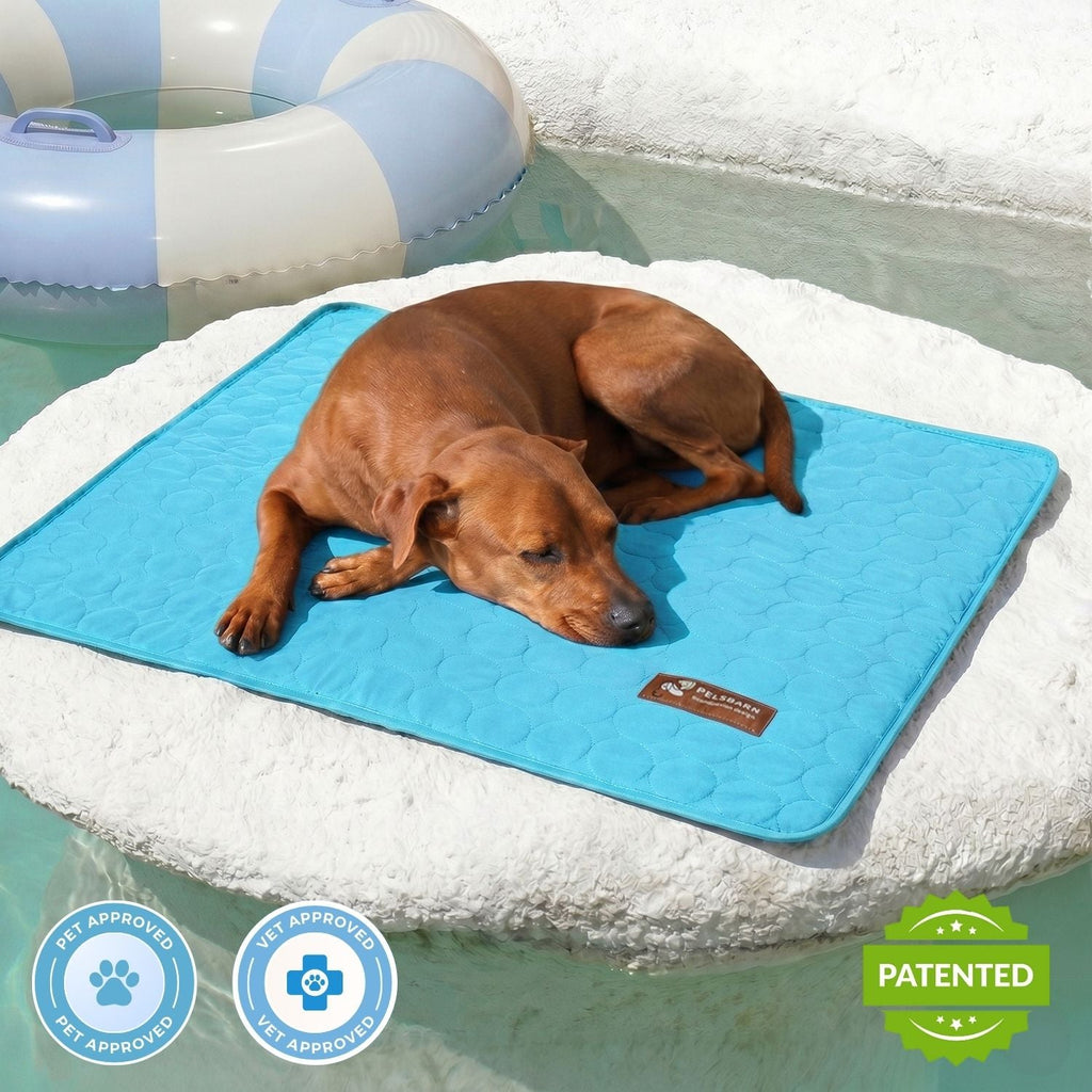 Dog Cooling Mat product image 1