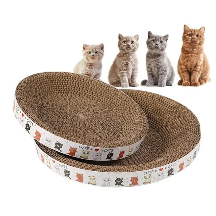 Cat Scratcher Bed product image 1