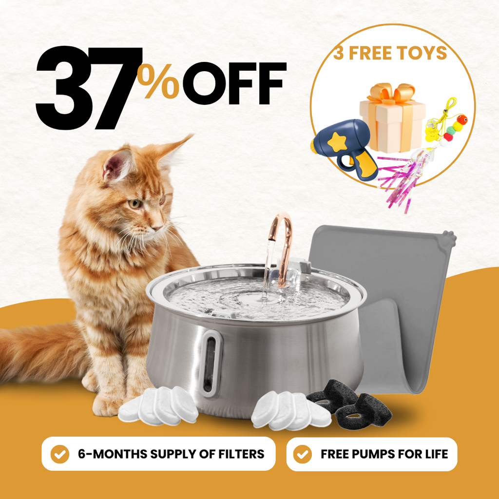 Cat Fountain Kit product image 1