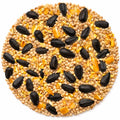 Wild Bird Seed product image 1